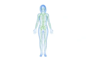 Read more about the article Lymphatic Drainage Massage – A Comprehensive Guide