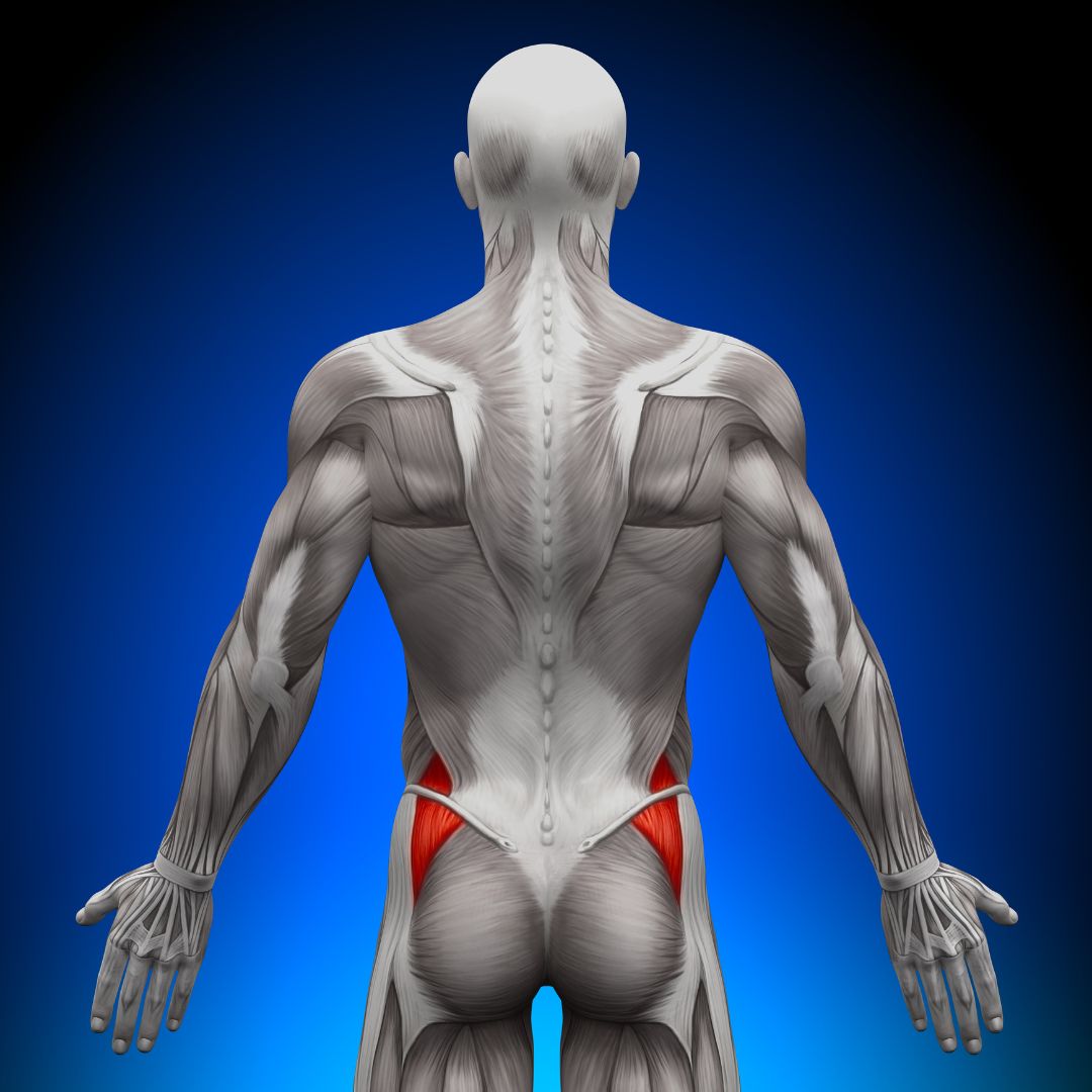 Read more about the article Common Causes of Low Back Pain